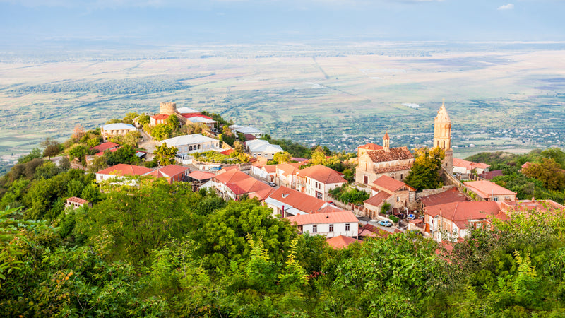 🍇 Day 3: Kakheti – Wine Traditions and Views of the Alazani Valley