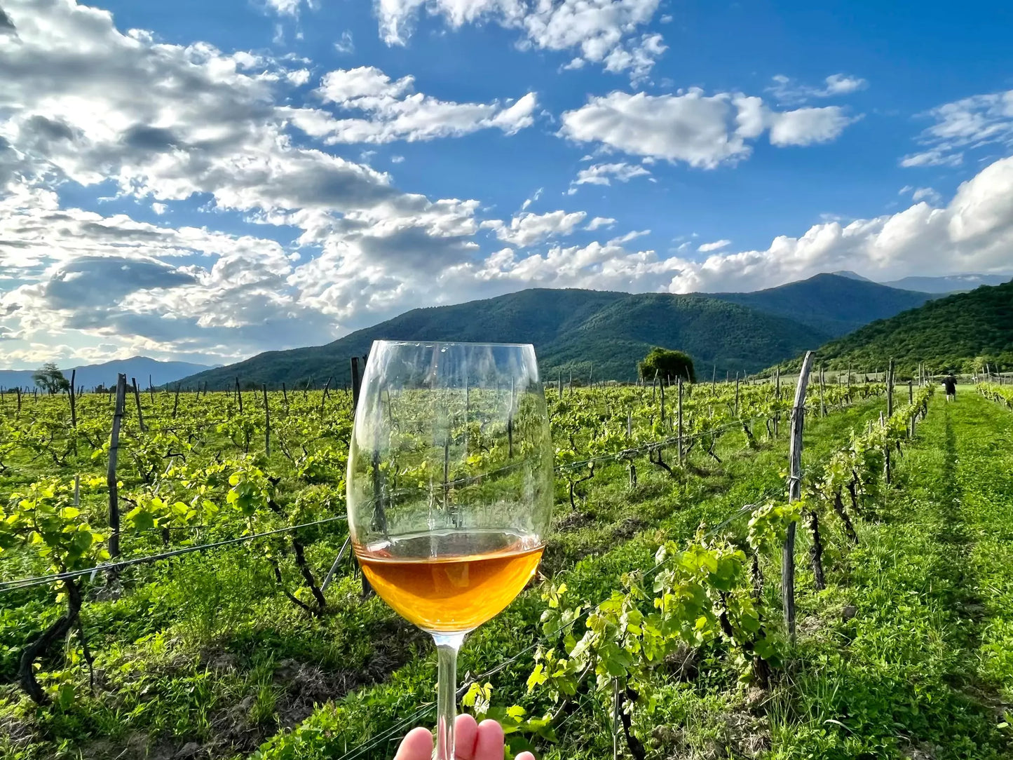 Wine & Culture Tour in Georgia – 6 Days / 5 Nights