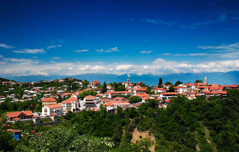 Day 14 – Mirgvela – Abano Pass – Bodbe – Sighnaghi – Tbilisi