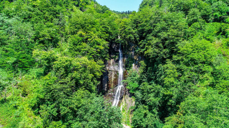 7 Day —Makhuntseti Waterfall, Mirveti Waterfall, and Queen Tamar Bridge