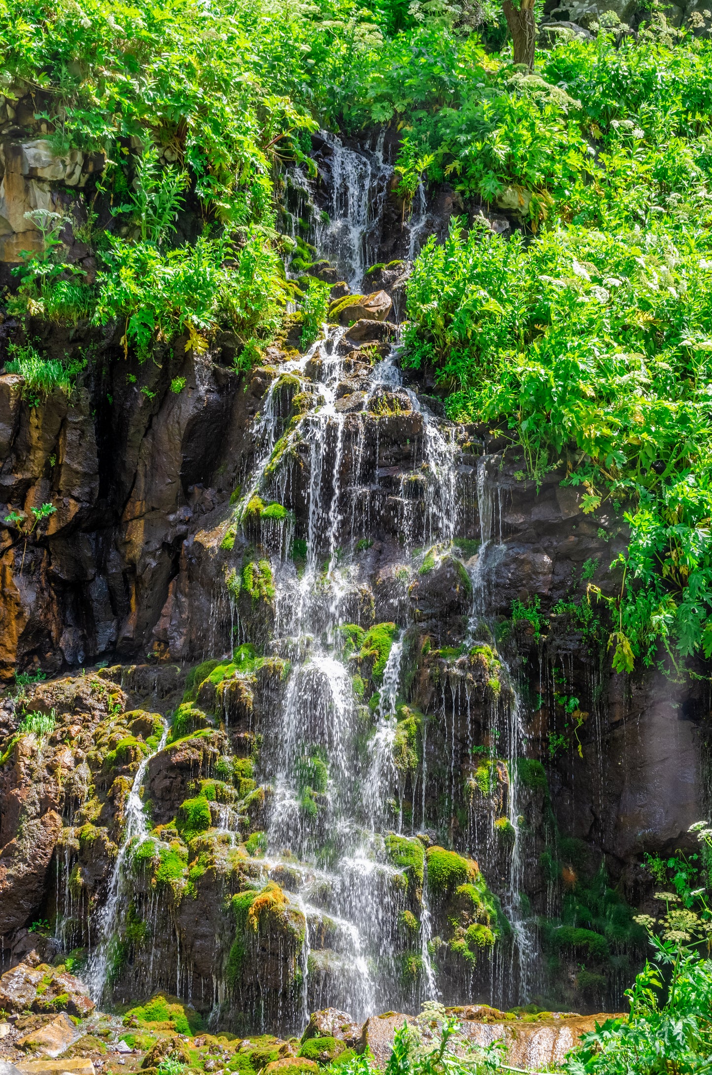 Land of Wine and Hospitality