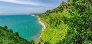 Land of Wine and Hospitality