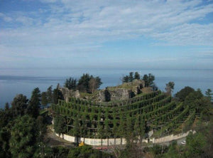 Batumi Dream Escape    5 Day / 4 Nights