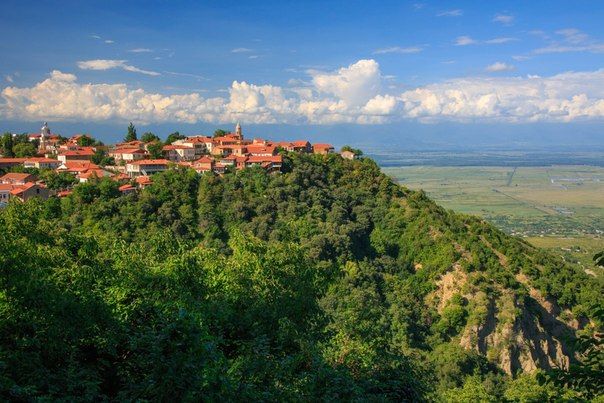 Day 10 — Tbilisi → Sighnaghi → Bodbe Monastery