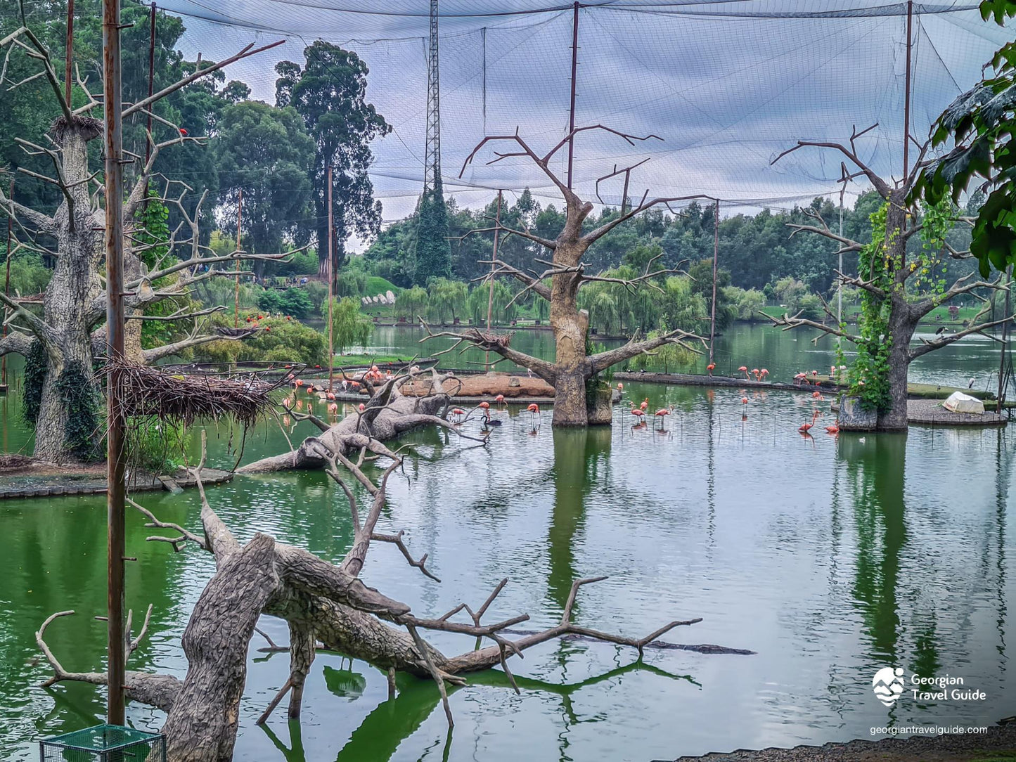 Batumi Dream Escape    5 Day / 4 Nights