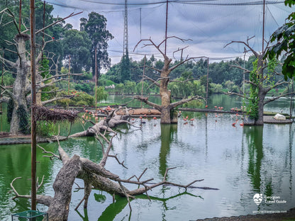 Batumi Dream Escape    5 Day / 4 Nights